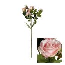 Blumenstängel Spray Rose