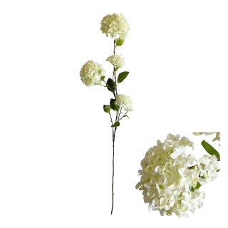 Bl&uuml;tenstiel Hortensie