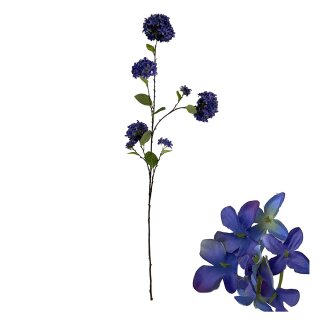 Bl&uuml;tenstiel Hortensie