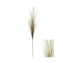 Blütenstiel Pampas Gras