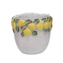 Blumentopf Zitronex L