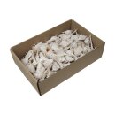 Muschelbox Kata Chimman