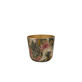 Topf Monstera Mystery