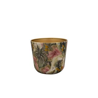 Topf Monstera Mystery