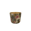 Topf Monstera Mystery