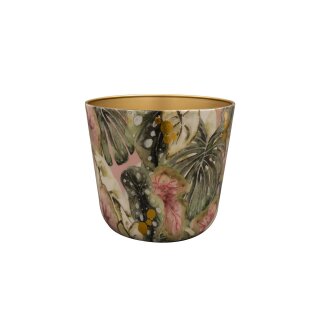 Topf Monstera Mystery