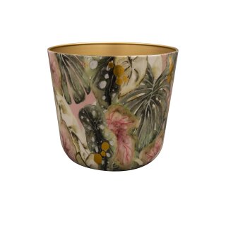 Topf Monstera Mystery