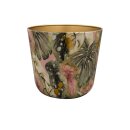 Topf Monstera Mystery