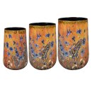 Topf Satz Von 3 Dreamy Hummingbird