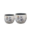 Topf Satz Von 2 Moonlight Meadow