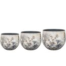 Topf Satz Von 3 Moonlight Meadow