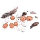 Osterdeko Wachteleier und Federn 16 Stück