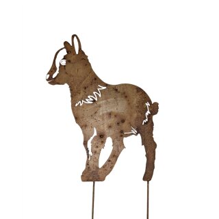 Geisslein G&ouml;khi auf Stick