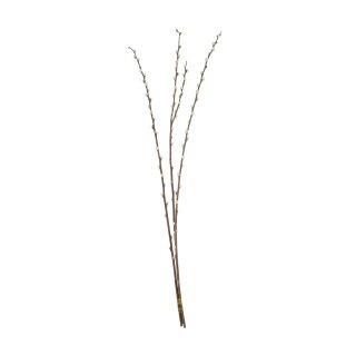 Weidenk&auml;tzchenb&uuml;ndel