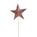 Twins-Star L auf St&auml;nder