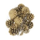 Tannenzapfen 200gr natur