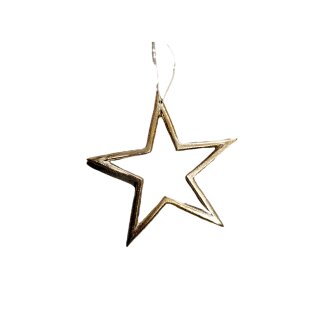 Shinestar H&auml;nger L