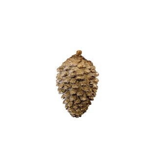 Tannenzapfen Lores M