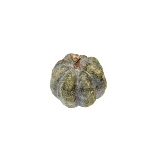 K&uuml;rbis Musgo S