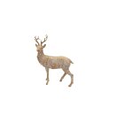 Hirsch Alvaro S