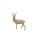 Hirsch Alvaro S
