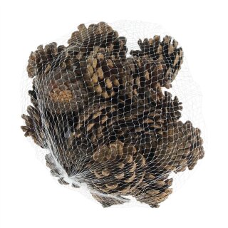 Tannenzapfen 200gr natur