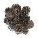 Tannenzapfen 200gr natur