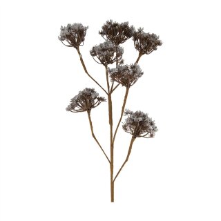 Kunstzweig Heracleum