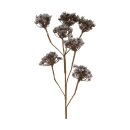 Kunstzweig Heracleum