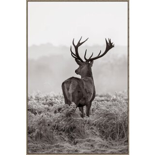 Wandbild Hirsch Elveer