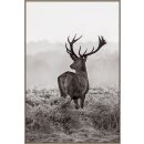 Wandbild Hirsch Elveer