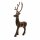 Hirsch Adrien L