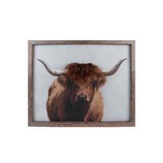 Wandbild Highlander mit Frisur