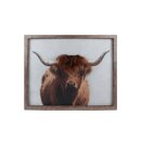 Wandbild Highlander mit Frisur