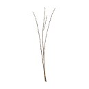 BigBund Weidenk&auml;tzchen