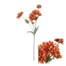 Spray Chrysantheme
