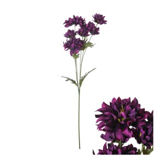 Spray Chrysantheme