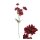 Spray Chrysantheme