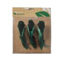 Vogel Chippie auf Clip