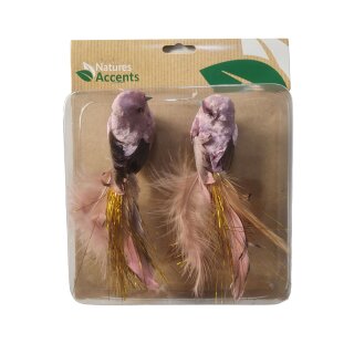 Vogel Demi auf Clip