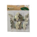 Schmetterling Aida auf Clip
