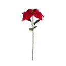 Bl&uuml;tenstiel Poinsettia