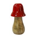 Fliegenpilz Mantar