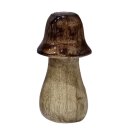 Holzpilz Mantar