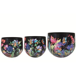 Topf Satz von 3 Midnight bloom