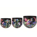 Topf Satz von 3 Midnight bloom