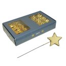 Styrostars mit Stick (48Stk)