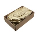 Goldblatt Shorea in Box L