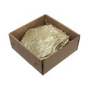 Goldblatt Shorea in Box S