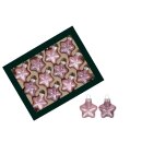 Xmas H&auml;nger Stars in Box (12Stk)